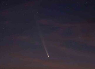 Rare Comet Visible from Earth After 80,000 Years: ‘Most Anticipated Event of the Year’ news-02102024-175100