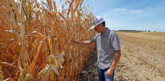 news-04102024-142935