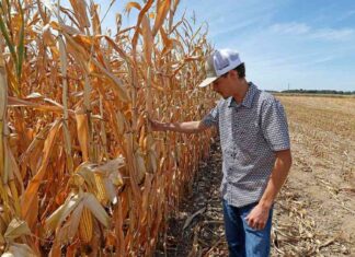 Expanding Ban on Open Burning Amid Intensifying Drought in Southwest Ohio news-04102024-142935