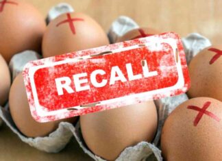 FDA Classifies 3 Egg Brands as Highest Risk in Recall Update: Dispose Immediately news-05102024-192828