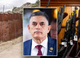 Effort to Ban Illegal Immigrants from Using IDs to Buy Guns: GOP Lawmaker’s Proposal news-08102024-183244