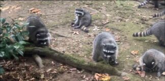 news-09102024-033159