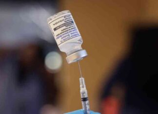 British Doctor Admits Attempted Murder by Injecting Poison Disguised as Vaccine news-09102024-110000