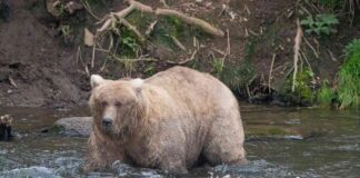 news-10102024-002810