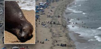 news-10102024-022922