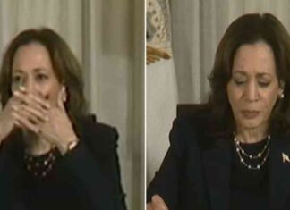 Kamala Harris Addresses Hurricane Milton Incident: A Live Broadcast Explanation news-10102024-043032