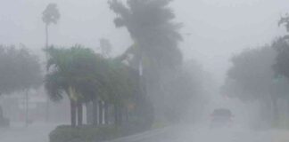 news-10102024-073323