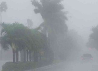 Hurricane Milton Strikes Florida: Destructive Winds and Catastrophic Storm Surge news-10102024-073323