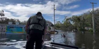 news-10102024-234715