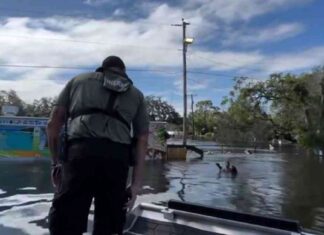 Rescue Mission: Florida Deputies Save Boy on Floating Fence During Flood news-10102024-234715