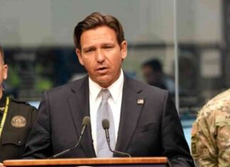 Kamala Harris and Hurricane Response: A Closer Look news-11102024-025131