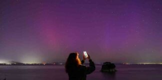 news-11102024-085705