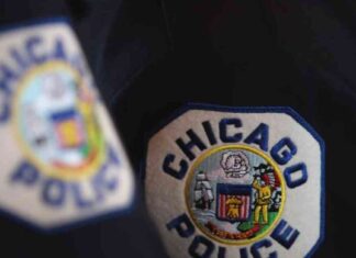 Box with Human Head Found on Chicago’s West Side: Shocking Discovery Sparks Investigation news-11102024-091112