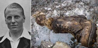 news-11102024-212345