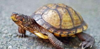 news-12102024-083536