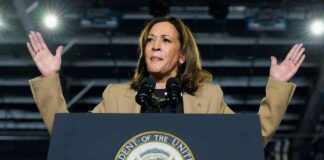 news-12102024-164240