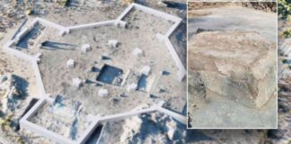 news-14102024-035056