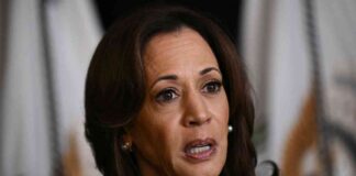 news-17102024-000822