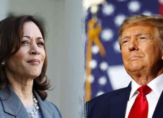 Trump Leads Harris by 2 Points in Latest Fox News Poll news-17102024-010854