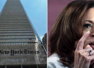 Plagiarism Consultant Admits Harris Scandal is More Serious: Analysis news-17102024-041458