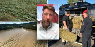 news-17102024-112444