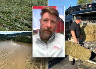 Rebuilding After Hurricane Helene: How the ‘Backbone of America’ Supports Southeastern Farmers news-17102024-112444