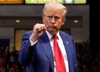 Reforming the Secret Service: Preventing Another Butler Incident with Fundamental Changes news-17102024-155412