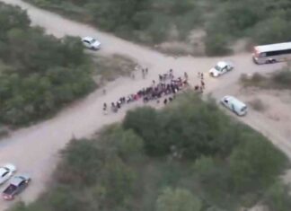 Texas Troopers Discover 134 Illegal Immigrants, Including Individuals from Iran, Near US-Mexico Border news-19102024-023455