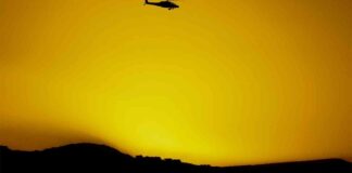 news-19102024-154944