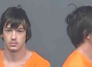 Texas Man Arrested for Stealing and Killing Neighbors’ Dogs: What You Need to Know news-20102024-132646