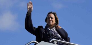 news-20102024-152803