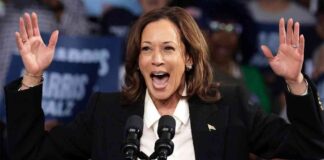 news-20102024-223825