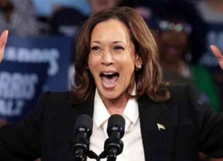 Targeting Black Men’s Love Lives: Analysis of Harris’ Controversial Ad news-20102024-223825