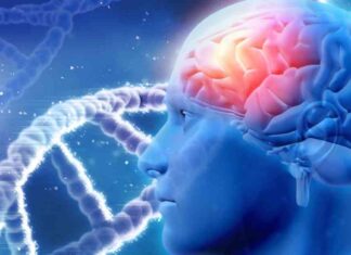 Genetic IQ Screening for Superbabies: US Startup Targets Wealthy Elite news-21102024-075112