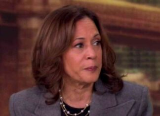 Hold White Folks Accountable for Democracy’s Fate if Harris Fails news-21102024-140653