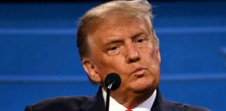 news-22102024-030943