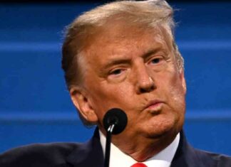 Title: New Yorker Writer Admits Lack of Exposure to Trump Supporters in 15-Year Media Career news-22102024-030943