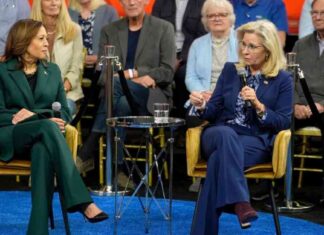 Liz Cheney Predicts ‘Millions of Republicans’ Will Vote for Harris: Encourages Voting Conscience news-22102024-063116