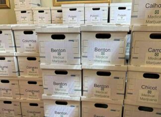 Arkansas Court Rules Votes for Medical Marijuana Ballot Measure Won’t Be Counted news-22102024-105940