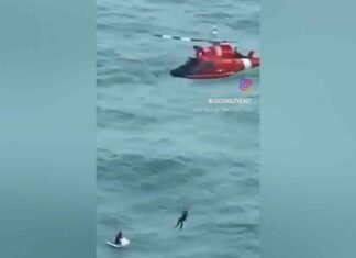 Rescued Captain Survives Hurricane Milton in Cooler: Boat Owner’s Account news-22102024-182658