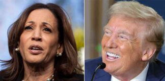 news-22102024-224032