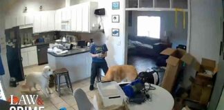 news-23102024-075809