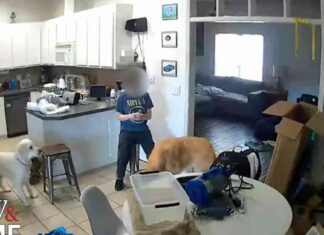 Revisiting the Case: Mississippi Teen Killer Seeks New Trial Due to Horse Therapy and Hearing Voices news-23102024-075809