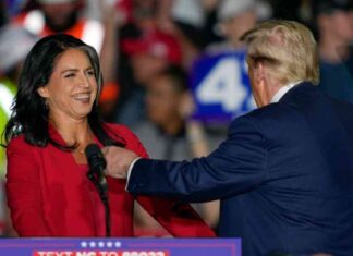 Tulsi Gabbard switches party allegiance, joins Republicans at Trump rally news-23102024-081006
