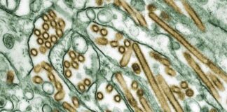 news-24102024-025058