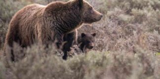 news-24102024-101733