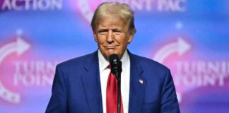 news-25102024-082225