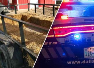Chaos at New Jersey Family-Friendly Hayride Event: Teen Trouble Sparks Havoc news-25102024-105120