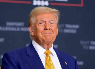 Chinese hackers target Trump and Harris campaign cellphones: reports news-26102024-004603