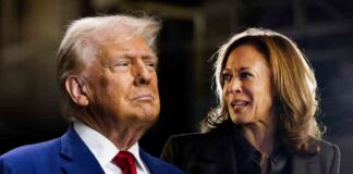 news-26102024-135603